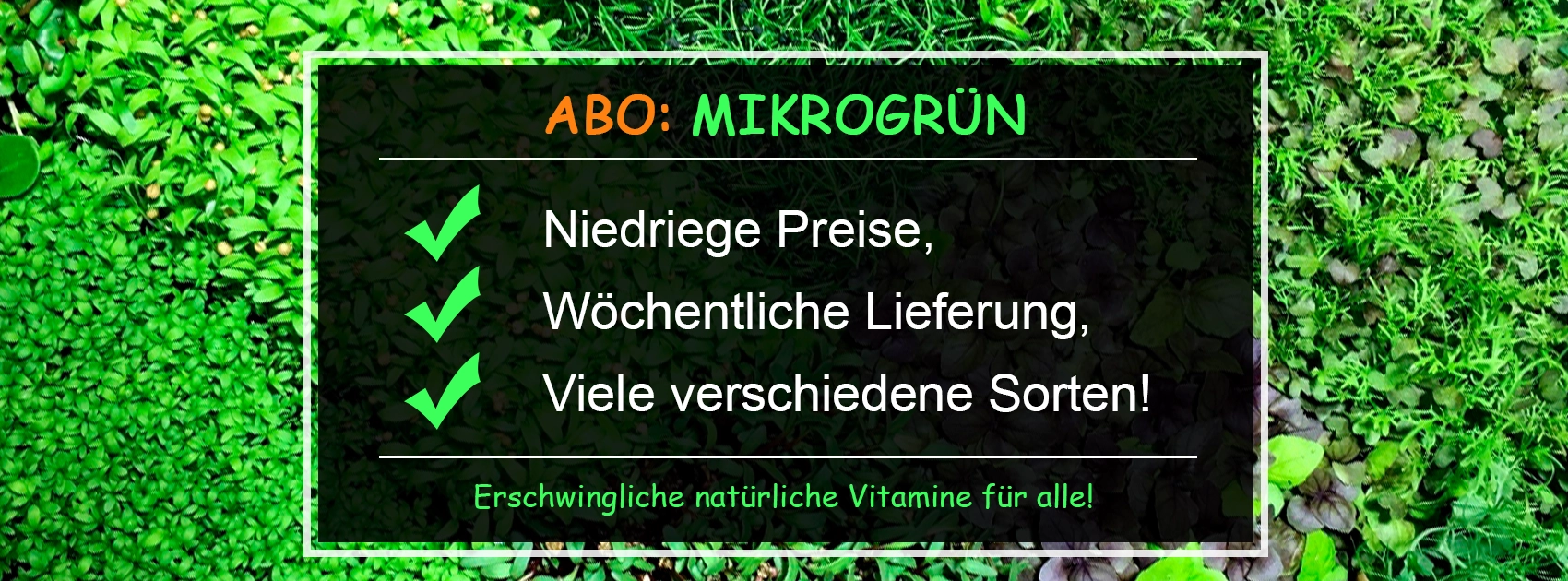 ABO - Wöchentliche Bestellung Microgreens für ganze Familie ABO - Wöchentliche Bestellung Microgreens für ganze Familie