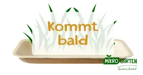 Kommt Bald, in Wien Kaufen