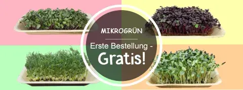 Mikrogrün in Wien - Erste Bestellung - Gratis - Microgreens Vienna