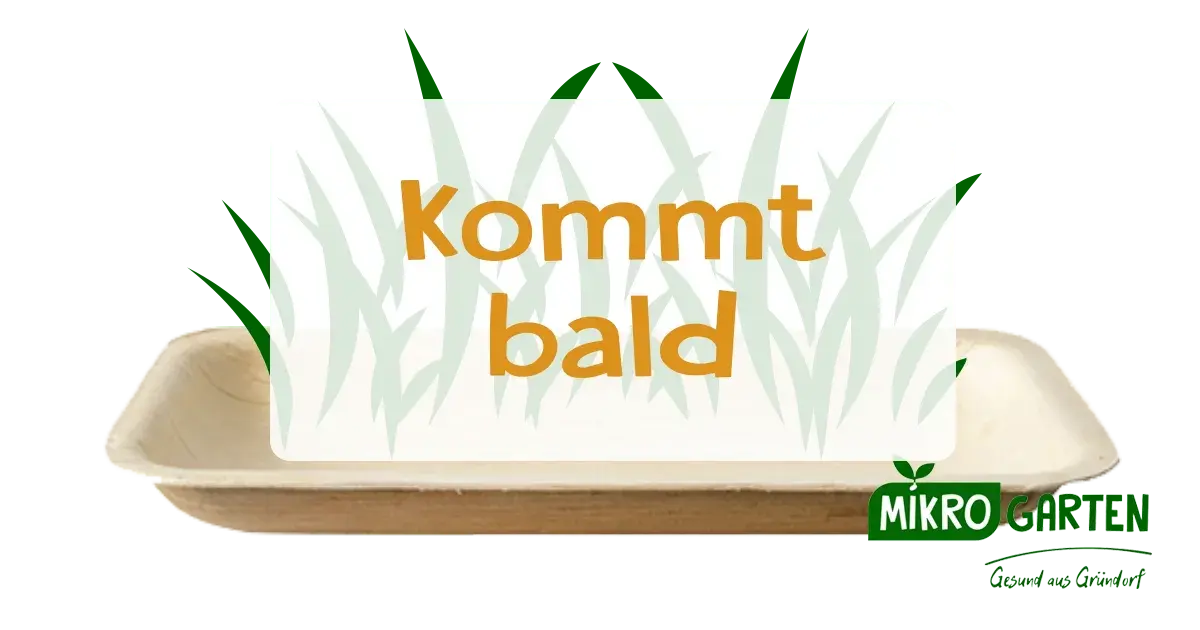 Kommt Bald Kommt Bald, in Wien Kaufen